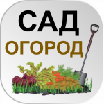 17.09.2023  Тематическая неделя "Сад и огород"