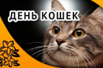 10.08.2024  День кошек