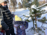 03.02.2022  Экскурсия в зимний парк