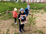 19.05.2022  Акция "Сад памяти"