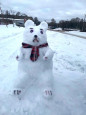 12.02.2021  Лыжня "Снеговичок"