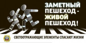 Дорожная безопасность