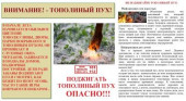 Безопасность жизнедеятельности
