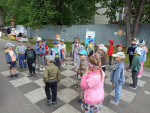Путешествие в шахматное королевство