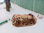 Птичья столовая