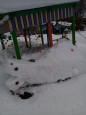 Снежный сюрприз