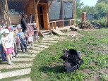 Яблочный Спас – Светлый праздник