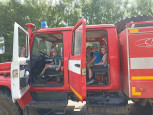 Лесное хозяйство