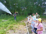 Лесное хозяйство