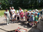 Лесное хозяйство