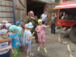 Лесное хозяйство
