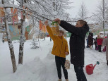Птичья столовая. 