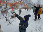 Птичья столовая. 
