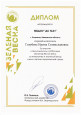 "Зеленая Весна-2021" (подробнее)