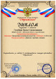 "Отражение" (подробнее)