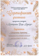 "Мастерская Деда Мороза" (подробнее)