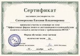 Семинар Н.М. Метеновой