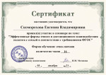 Семинар Н.М. Метеновой