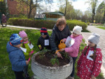 "Зеленая весна" (подробнее)