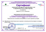 Трансляция педагогического опыта (подробнее)