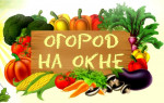"Чудо-огород растет круглый год" Положение (подробнее)
