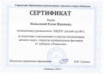 Муниципальный фестиваль (подробнее)