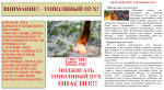 Поджигать тополиный пух опасно! 