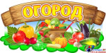 Огород - это живая лаборатория