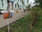 Аллея воинской славы «Сирень Победы»