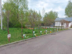 Аллея героев Кинешемцев