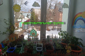 Итоги смотра - конкурса "Огород на окне" (подробнее)