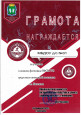 Зимний фестиваль ВФСК ГТО (подробнее)