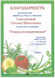 "Огород на окне" (подробнее)