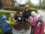 "Зеленая весна" (подробнее)