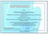 Семинар - практикум (подробнее)