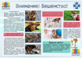 "Внимание! Бешенство!" (подробнее)