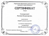 "День Волжского бульвара" (подробнее)