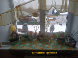 Итоги смотра - конкурса "Огород на окне" (подробнее)