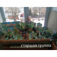 Итоги смотра - конкурса "Огород на окне" (подробнее)