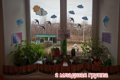 Огород на окне.