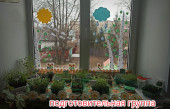 Огород на окне.