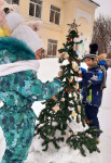 Всероссийская акция "Покормите птиц"