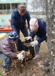 Весенняя неделя добра