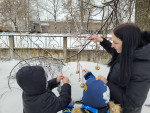 ЭКО-кормушки для пернатых