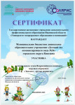 Всероссийский конкурс игрушек-кормушек "Эколята - друзья пернатых" (региональный этап)
