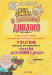 Муниципальный семейный фестиваль "Вся фишка в шишке"