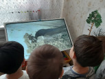 Птичьи домики 