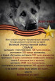 О подвиге животных на войне 