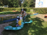 День весёлых лягушат