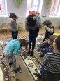 Путешествие в мир животных